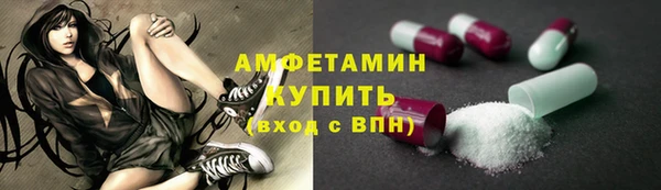 прущие грибы Богданович